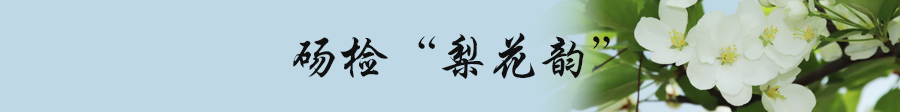 砀检“梨花韵”